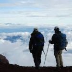 kije trekkingowe dla aktywnych